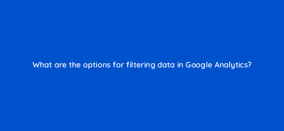 what are the options for filtering data in google analytics 8100