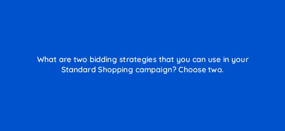 what are two bidding strategies that you can use in your standard shopping campaign choose two 78558