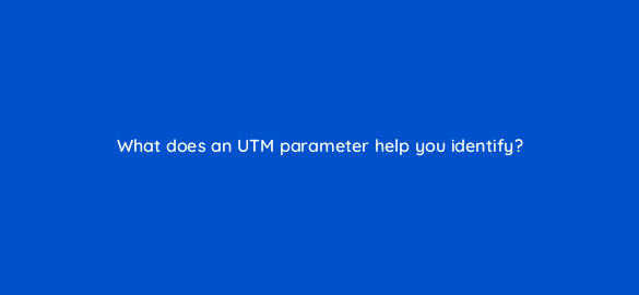 what does an utm parameter help you identify 4182