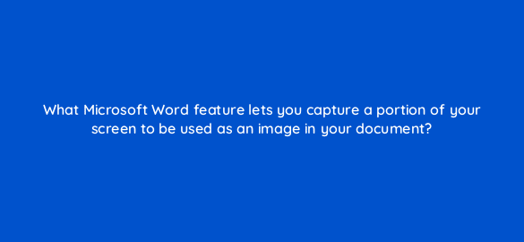 what microsoft word feature lets you capture a portion of your screen to be used as an image in your document 49094