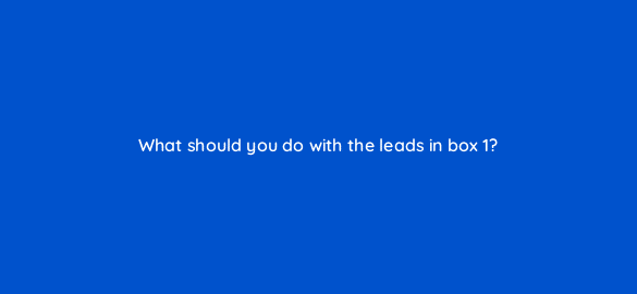what should you do with the leads in box 1 5295