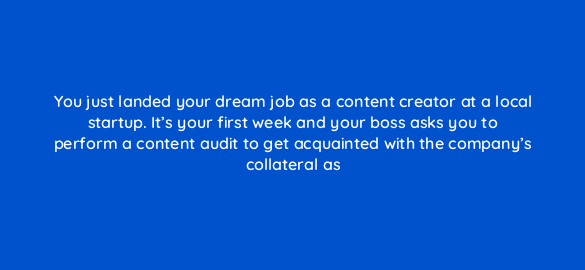 you just landed your dream job as a content creator at a local startup its your first week and your boss asks you to perform a content audit to get acquainted with the companys coll 4041