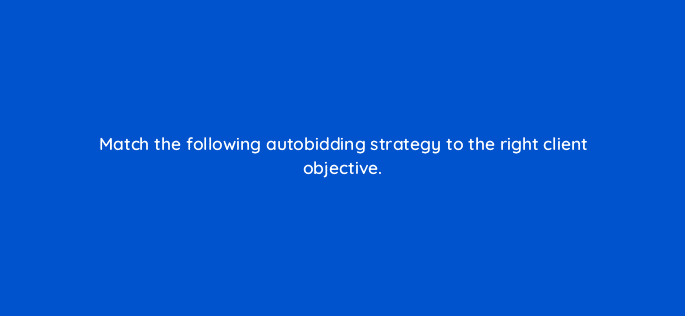 match the following autobidding strategy to the right client objective 10968