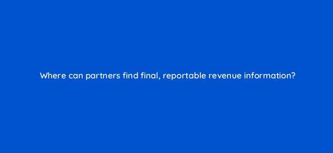 where can partners find final reportable revenue information 8575