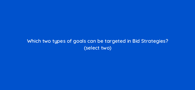 which two types of goals can be targeted in bid strategies select two 10179