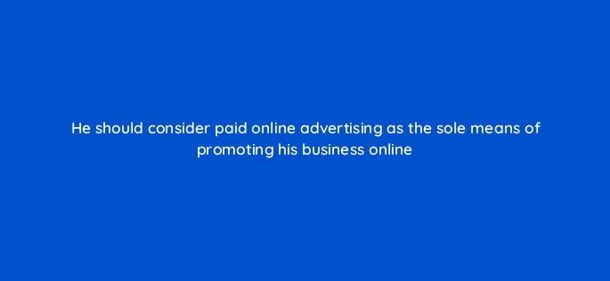 he should consider paid online advertising as the sole means of promoting his business online 150774