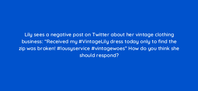 lily sees a negative post on twitter about her vintage clothing business received my vintagelily dress today only to find the zip was broken lousyservice vintagewoes how do you 150882