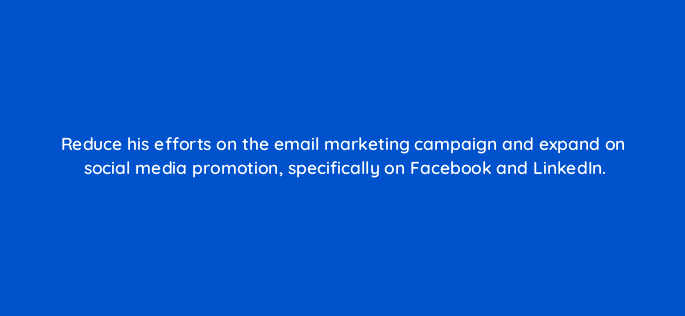 reduce his efforts on the email marketing campaign and expand on social media promotion specifically on facebook and linkedin 150994
