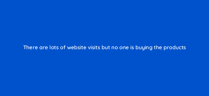 there are lots of website visits but no one is buying the products 151012