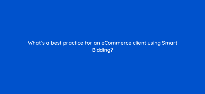 whats a best practice for an ecommerce client using smart bidding 158261