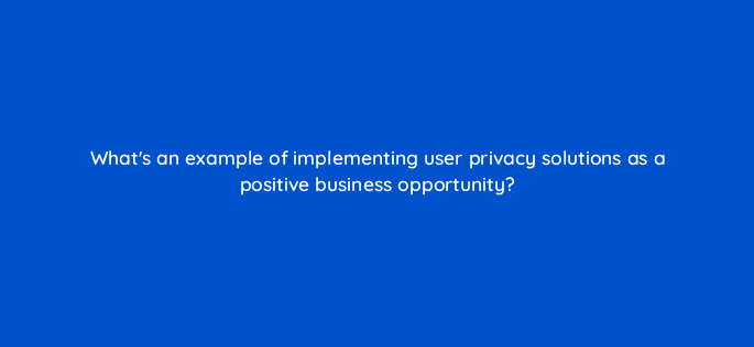 whats an example of implementing user privacy solutions as a positive business opportunity 158314