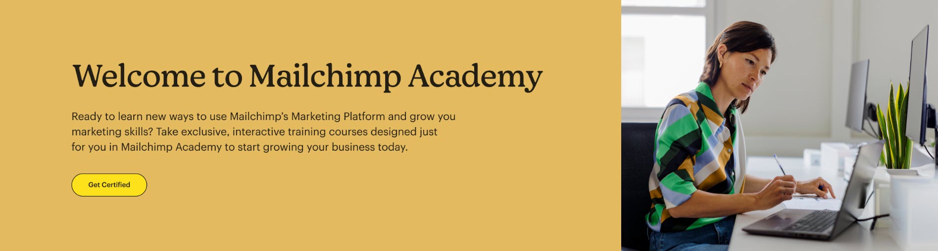 mailchimp academy