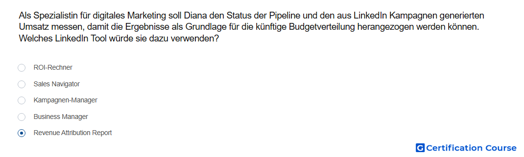 Als Spezialistin fur digitales Marketing soll Diana den Status der Pipeline und den aus LinkedIn Kampagnen generierten Umsatz mess