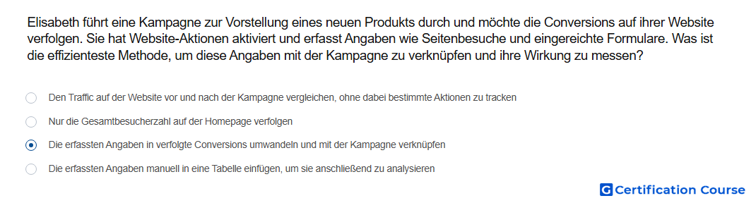 Elisabeth fuhrt eine Kampagne zur Vorstellung eines neuen Produkts durch und mochte die Conversions auf ihrer Website verfolgen Si
